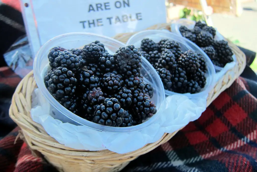 A low angle shot of mulberries in South Pearl Street Farmers Market